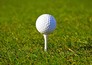 Golf: PGA Tour - BMW Championship