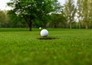 Golf: The Players Championship