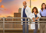 Grey's anatomy