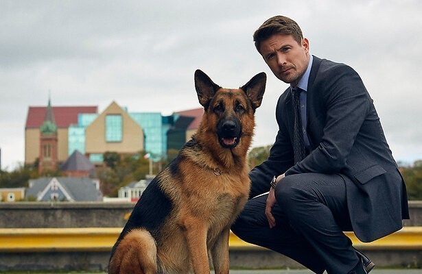Hudson & Rex