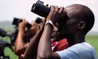 Hamza: African birds of prey