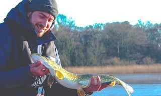 Hunting Fish