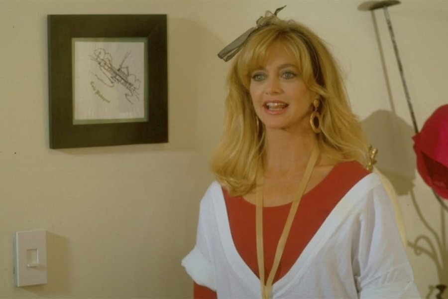 Housesitter