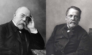 Koch und Pasteur - Duell im Reich der Mikroben