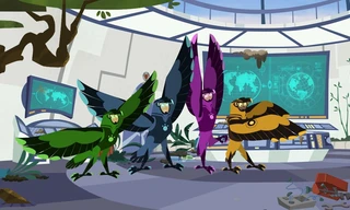 Kratts in het wild