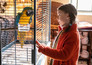 Kommt ein Vogel geflogen