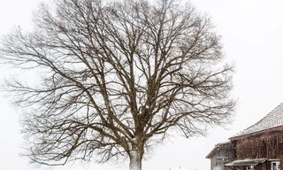 Les Alpes suisses: coutumes et superstitions