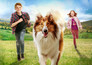 Lassie