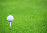 LPGA Tour: Portland Classic