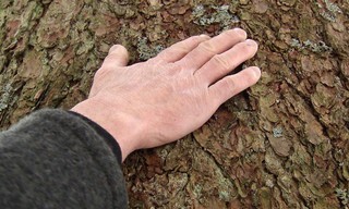 Menschen mit Gespür für Holz