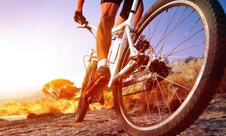 Mountainbiken: WK in Val di Sole