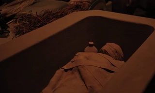 Mummies unwrapped