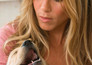 Marley & Me
