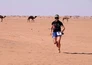 Mass Participation : Trans Sahara Marathon