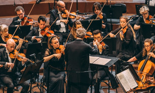 Nielsen : Symphonie n° 6 - Danish National Symphony Orchestra, Fabio Luisi