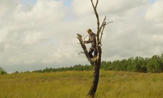 NPO Doc: Door de bomen