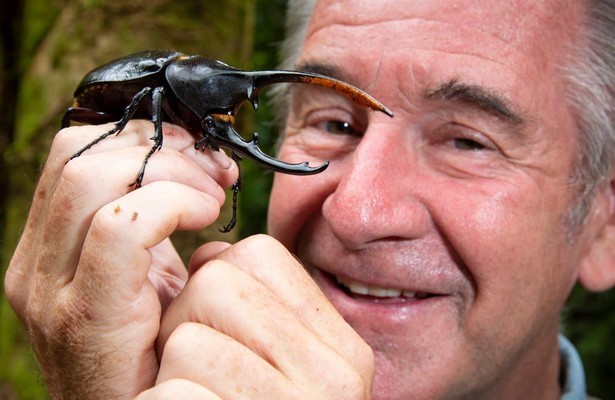 Nigel Marven's wild Central America
