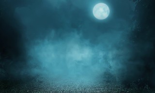 Obsession: Dark desires