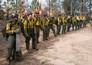 Only the Brave