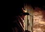 Open Range