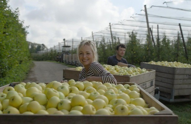 Yvon Jaspers in Onze Boerderij: De Oogst
