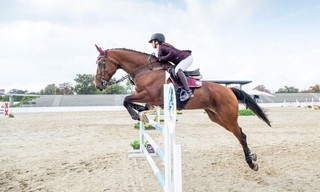 Paardensport: Grand slam tournament Spruce Meadows