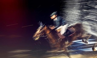 Paardensport: Wereldkampioenschappen in Aken