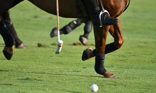 Polo: British Open Polo Championship