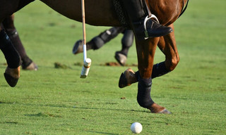 Polo: British Open Polo Championship