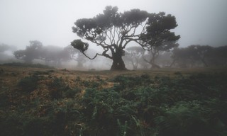 Portugal's wild wonders