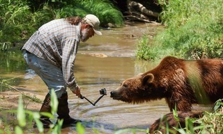 Project grizzly