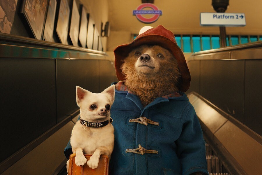 Paddington