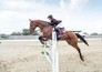 Paardensport: Grand slam tournament Spruce Meadows