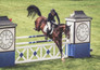 Paardensport: Wereldkampioenschappen in Aken