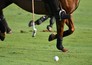 Polo: British Open Polo Championship