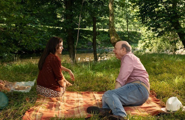 Wallace Shawn in Rifkin's Festival