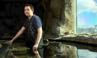 Secrets of the aquarium