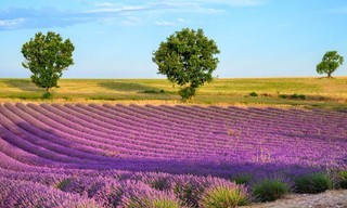 Südfrankreich - Marseille und die Provence Verte