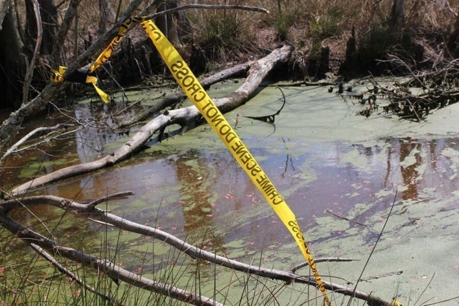 Swamp murders