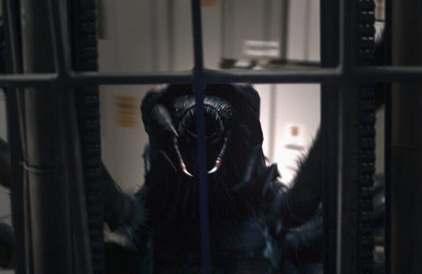 Still uit Spiders