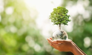 The Climate Question