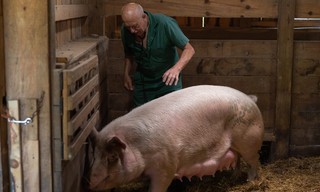 The incredible Dr. Pol
