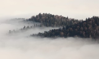 The Living Edens