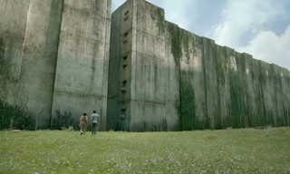 The Maze Runner