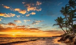 The Real Death In Paradise