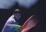 Tennis: US Open