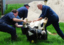 The incredible Dr. Pol