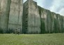 The Maze Runner