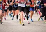 Trail World Series