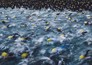 Triatlon: T100 World Tour Vancouver